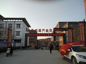 嵩縣農(nóng)副產(chǎn)品交易中心100噸雙向地衡