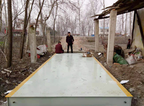 信陽(yáng)市桃林鎮(zhèn)木材收購(gòu)點(diǎn)30噸地磅