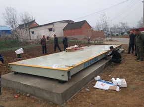 漯河殿高農(nóng)業(yè)合作社8m-60噸地磅