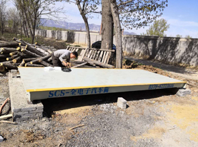 登封趙村木材收購中心10噸地磅