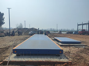 鹿邑縣雨欣種植合作社100噸