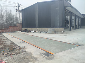 洛陽(yáng)市宜陽(yáng)縣鹽鎮(zhèn)鄉(xiāng)大寨村種植合作社150噸