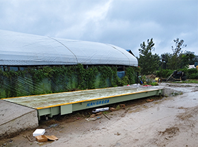 開(kāi)封蘭考縣后趙寨種植合作社40噸地磅