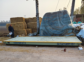 焦作保江養(yǎng)殖場30噸地磅