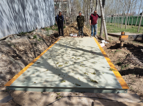 周口扶溝祥晨種業(yè)30噸地磅