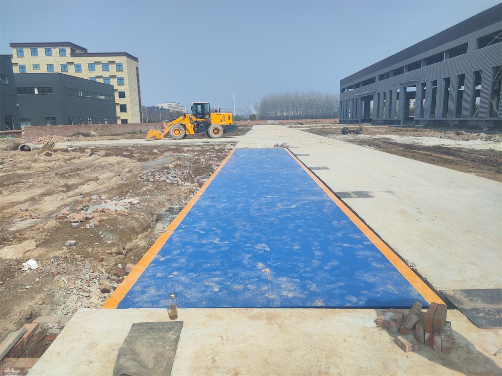 微信圖片_20250310140352