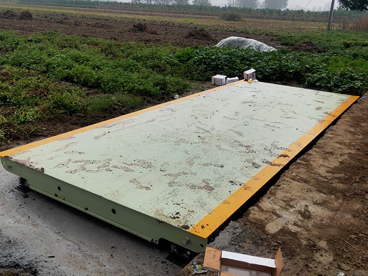 大盧村農(nóng)業(yè)合作社5