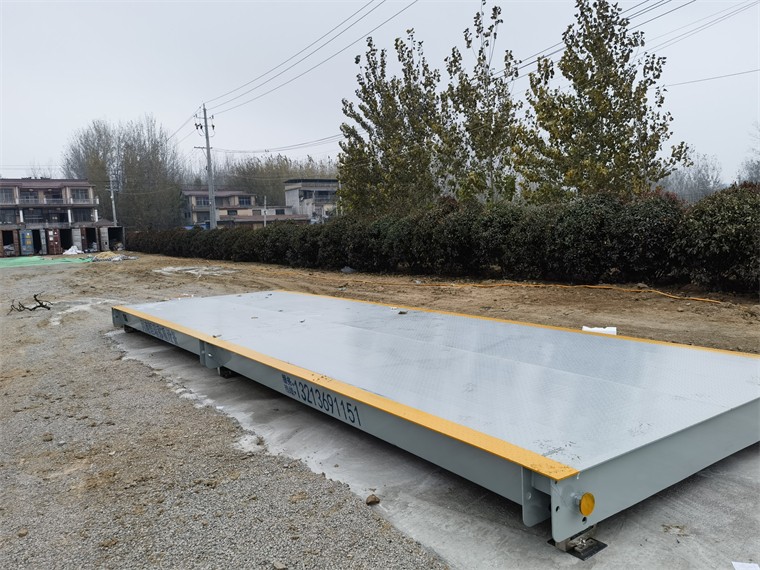 安徽亳州馬韜鯉農(nóng)場01