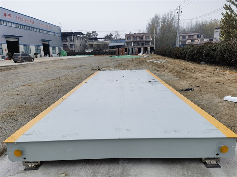 安徽亳州馬韜鯉農(nóng)場02