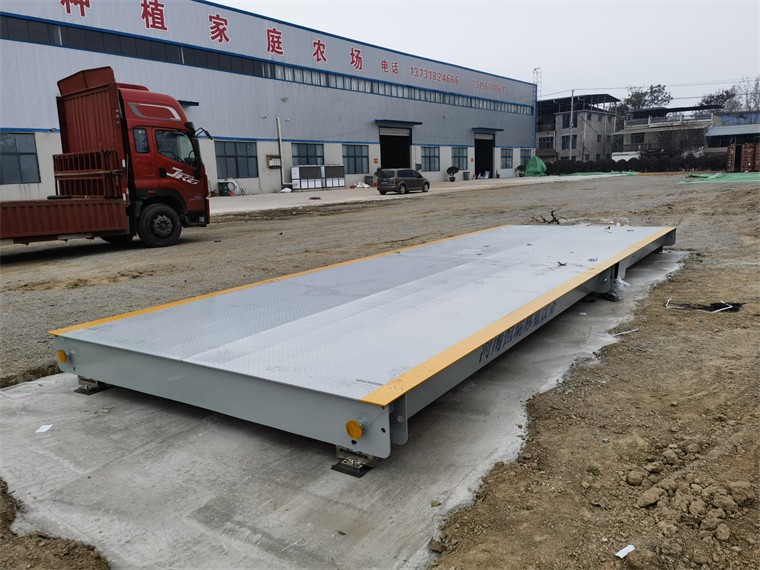 安徽亳州馬韜鯉農(nóng)場(chǎng)03