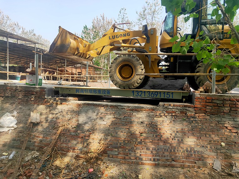 許昌水潮店養(yǎng)牛場(chǎng)1