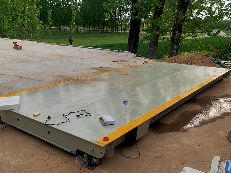 鄢陵縣彭店鎮(zhèn)大蒜收購(gòu)2